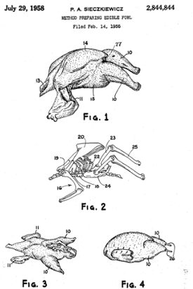 wacky patent illustration